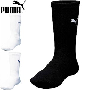 lR|X v[} TbJ[ V[gXgbLO Y fB[X TbJ[\bNX C PUMA 902692