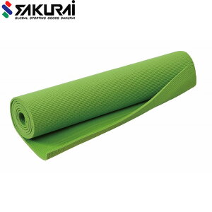 �v���E�C���O PRO-WING ���K�}�b�g �v���E�C���O ���K�}�b�g 6mm �t�B�b�g�l�X�}�b�g �p�i �p�� �A�C�e�� �O�b�Y �A�N�Z�T���[ �t�B�b�g�l�X �g���[�j���O PWF-05GR
