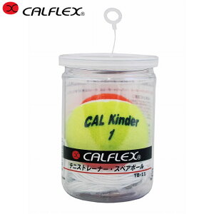 JtbNX CALFLEX ejXg[i[ TT-31pXyA{[ WjApdejX{[ pi p ACe ObY ANZT[ ejX TB-31