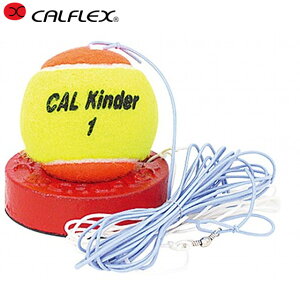 JtbNX dejXg[i[ WjAp [K TT-31