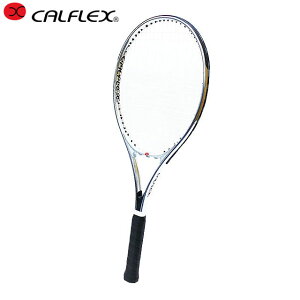 JtbNX CALFLEX  XgOグς Pbg dejXPbg ʗpejXPbg pi p ACe ObY ANZT[ ejX CX-540