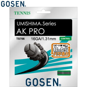 S[Z GOSEN dKbg E~V}AKv16 20P  Rg[ g[^oX pi p  ACe ObY ANZT[ ejX PbgX|[c TS706BK20P