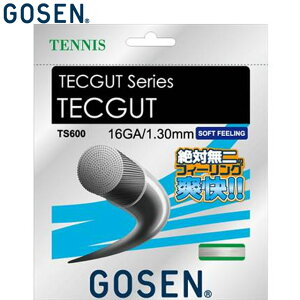 lR|X S[Z GOSEN dKbg ebNKbg 16 zCg pi p  ACe ObY ANZT[ ejX PbgX|[c TS600W