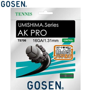 �l�R�|�X �S�[�Z�� GOSEN �d���K�b�g �E�~�V�}AK�v��16 BK �p�i �p�� ��� �A�C�e�� �O�b�Y �A�N�Z�T���[ �e�j�X ���P�b�g�X�|�[�c TS706BK