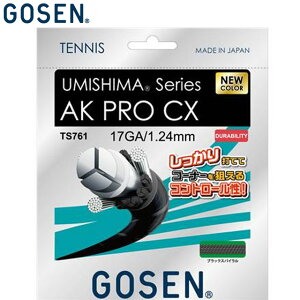 �l�R�|�X �S�[�Z�� GOSEN �d���K�b�gTS761 �E�~�V�}AKPROCX17 BKS �p�i �p�� ��� �A�C�e�� �O�b�Y �A�N�Z�T���[ �e�j�X ���P�b�g�X�|�[�c TS761BKS
