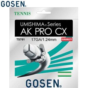 lR|X S[Z GOSEN dKbg TS761 E~V}AKPROCX17 NA pi p  ACe ObY ANZT[ ejX PbgX|[c TS761NA