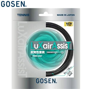 lR|X S[Z GOSEN dKbg LUXAIRASSIST 16L ubN pi p  ACe ObY ANZT[ ejX PbgX|[c TSLXA0BK