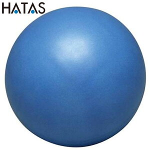 n^ HATAS \tgoX{[ 20cm pi p  ACe ObY tBbglX g[jO ^ N ̈ }`X|[c `^H DB22