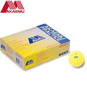 AJG AKAEMU bg12 oגP12 12Zbg \tgejX{[  vNeBX{[ CG[ pi p  ACe \tg M40300