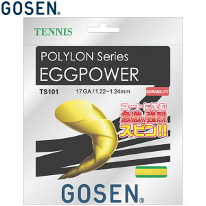 lR|X S[Z GOSEN dejXKbh XgOX | GbOp[ 17 pi p  ACe ObY ANZT[ ejX PbgX|[c TS101