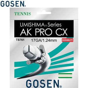 lR|X S[Z GOSEN dejXKbh XgOX E~V} AKvCX 17 pi p  ACe ObY ANZT[ ejX PbgX|[c TS761