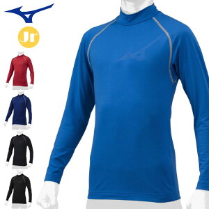 lR|X ~Ym X|[cEGA WjA NуA_[ nClbN MIZUNO 12JA2P54 Vc A_[Vc _炩ŕۉ̂f g[jOEGA