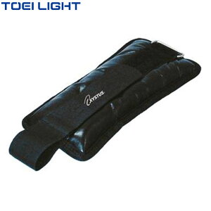 g[GCCg TOEI LIGHT EGCg ANXg PU1000 pi p  ACe ObY ANZT[ g[jO H8895