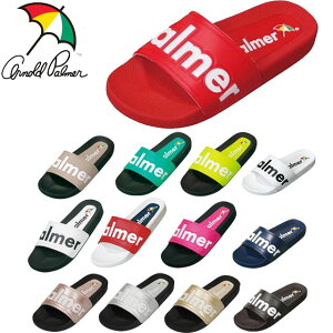 (Z)80 A[mhp[}[ fB[X V[T_ AP5403 C V[Y X|[c v[ p