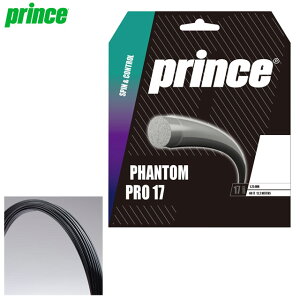 vX ejX Pbg ANZT[ dKbg t@g v 17 (5Zbg) prince 7JJ036 \͂Ƒϋv啝Ɍ {[ł͒e̋XgOX Ot@Cg { 