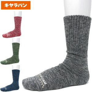 Lo CARAVAN \bNX C RLmEggbLO Ci[  EGA \bNX oR AEghA 0131008