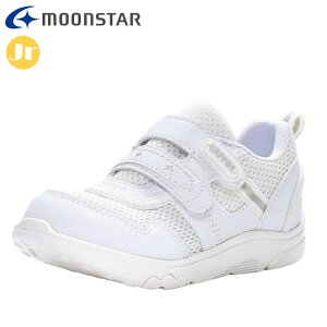 [X^[ LbYV[Y Lbg CR C2350 zCg 12184451 MOONSTAR qC WO^Cv ^b`ŒEłoh ܐ 􂦂C\[ }@\ ^C J