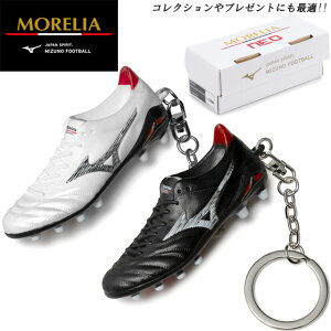 ~Ym TbJ[ AlIIV L[`F[ ANZT[ v[g RNV 蕨 Mtg ~j`A P1GZ2480 ubN zCg