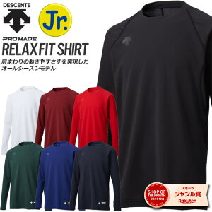 lR|X fTg 싅 A_[Vc WjA  ێ Ci[ y Xgb` XgX z  JSTD771 DESCENTE o yΉ Np