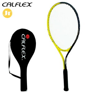 JtbNX ejXPbg d WjA CAL-26 Kbgグς P[Xt CALFLEX