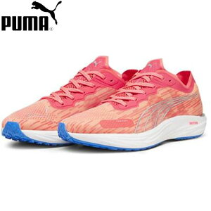 (Z)80 �v�[�} �V���[�Y �X�j�[�J�[ �����Y �^�N�g ���x���C�g�j�g�� 2 37731507 PUMA FIRE ORCHID �y�ʃ��m���b�V���A�b�p�[ ���ˑf�� ���� �����j���O