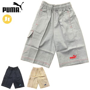 (Z)63 lR|X v[} X|[cEGA WjA n[tpc PUMA 900324 {gX J[Spc Sh? Rbg100 Ap JWAEGA AEghA fC[