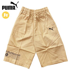 (Z)62 lR|X v[} X|[cEGA WjA JWA n[tpc PUMA 900327 {gX Rbg100 Sh? Ap JWAEGA AEghA fC[ Lv ^