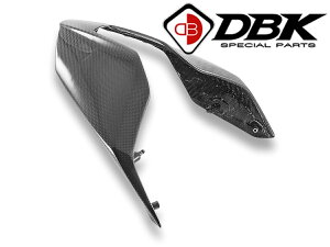 �y���K�A���㗝�X�z DUCABIKE (DBK) - �h���C�J�[�{�� �e�[���J�E�� (������) PANIGALE V4 / S '25-26 / R '26 / STREETFIGHTER V4 / S '25-26 �J�[�{�� �h�D�J�e�B �p�j�K�[��V4 �p�j�K�[��V4S �p�j�K�[��V4R