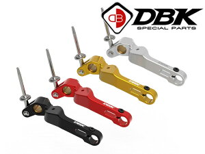 �y���K�A���㗝�X�z DUCABIKE (DBK) - �u���[�L�y�_�� STREETFIGHTER V4 / S '25-26 �X�e�b�v �h�D�J�e�B �X�g���[�g�t�@�C�^�[V4 �X�g���[�g�t�@�C�^�[V4S