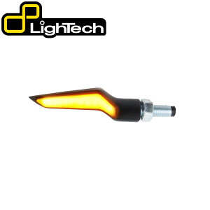 �y�����݌Ɂz LighTech - �}���`�s�N�Z�� LED �E�B���J�[ (�y�A) SeagullWing ���C�g