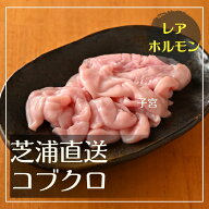 【芝浦直送】 豚ホルモン コブクロ 約100g