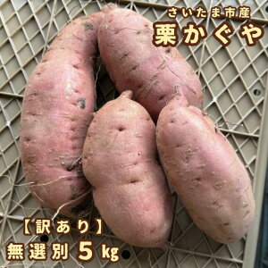 ���܂��� �I������y�󂠂�z�y�����z�y�׈��z1kg 5kg �������܎Y �y�t�� �������� ��e�� �ׂɂ͂邩 �T�C�Y���낢�� �s���� �T�c�}�C�� �F���� ���܈� �󂠂�i ���܂� ��� ���� ����