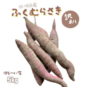 ܂ 󂠂 y׈zӂނ炳5kg ܎Y yt  TCY낢 s Tc}C F ܈ 󂠂i ق ܂ H     