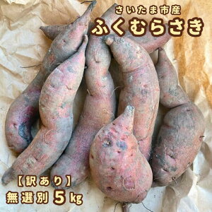 ���܂��� �ӂ��ނ炳���y�󂠂�z�y�����z�ӂ��ނ炳�� 1kg 5kg �������܎Y �y�t�� �������� �T�C�Y���낢�� �s���� �T�c�}�C�� �F���� ���܈� �󂠂�i �ق����� ���܂� ��� ���� ����