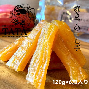 y6܃Zbgz@g͂邩@Ă̊@Ă@g͂邩@܂@X@Mtg@󂠂@Y@v[g@j@AX[g@_CGbg@H@R_@e