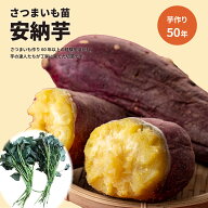 ★ 3/31（火）まで早期割引価格にて予約受付中！【選べる出荷日・熊本県から発送】芋屋歴60年　安納芋　…