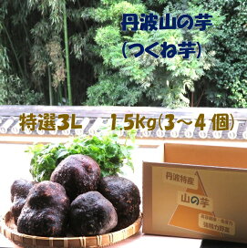 楽天市場】後は植えるだけ カット種芋 2キロ (24～30個) 丹波山の芋 