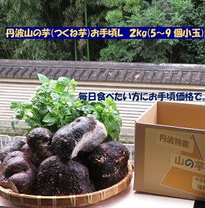 w N΍􉞉 OgR̈ 荠L 2L (5`9) Ƃꂽ ߘa7NY V P ˈ VN R Ƃ  e