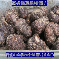 楽天市場】山芋 10kgの通販