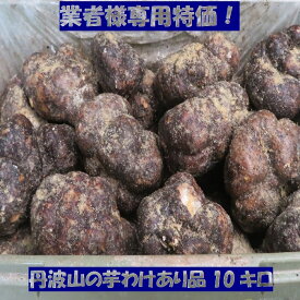 業者様専用 特価 丹波 山の芋 つくね芋 ワケあり 10キロ (25～45個) お手頃 毎日 美容 健康 胃腸に良い 夏バテ予防