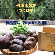 楽天スーパーSALE 割引 特価 丹波山の芋 優秀2L 2キロ (3～6個) 残暑を乗り切る 夏バテ解消 つくね芋 山…