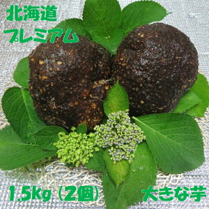 v~A kC 傫Ȉ 1.5kg (2) ₷  ꂢ ˈ Mtg