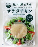 冷凍食品 秋川牧園 サラダチキン むね肉プレーン 100g×10個【北海道は7個で発送】 無添加チキン 無添加…