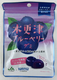 木更津 ブリーベリーグミ 40g×6個 カネカ食品 ラブレ乳酸菌 24億個入 木更津産 ブルーベリー果汁使用 グミ