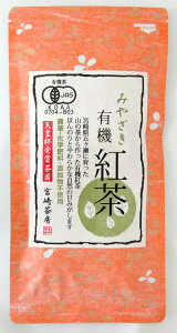 {蒃[ ݂₴L@g i40gj×2@{茧܃ R̒ L@g L@ {g ݂₴g yVctܒzy|Xgz