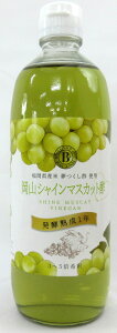 R VC}XJbg| 500ml×2{ 3{`5{ ykC͔sz  ~O Ԃǂ| | uhE|