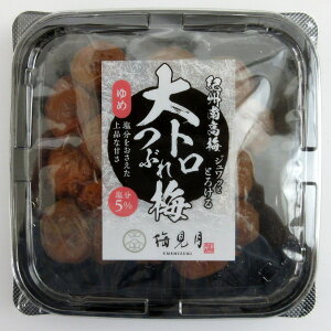 g Ԃ~  300g×2 a̎R ~ }}Hi IB썂~ 5~ ykC͔sz