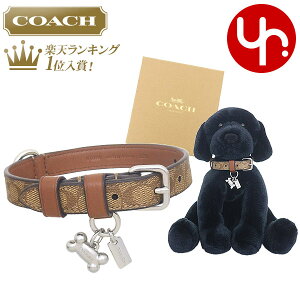 R[` COACH   ^p FCH144 CH144 J[L×Th ʑ VOl`[ R[ebh LoX U[ X[ ybg J[ ({bNXt) AEgbgiybg u