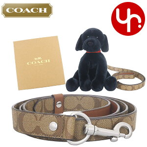 R[` COACH  [h ^p FCH156 CH156 J[L×Th ʑ VOl`[ R[ebh LoX U[ [W ybg [V ({bNXt) AEgbgiybg u