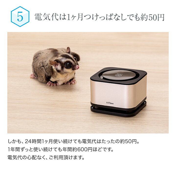 楽天市場】☆空気清浄機 コンパクト YFLife AIRbox エアーボックス 